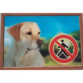 3D-PSI-Tag, Labrador Retriever (Beige)